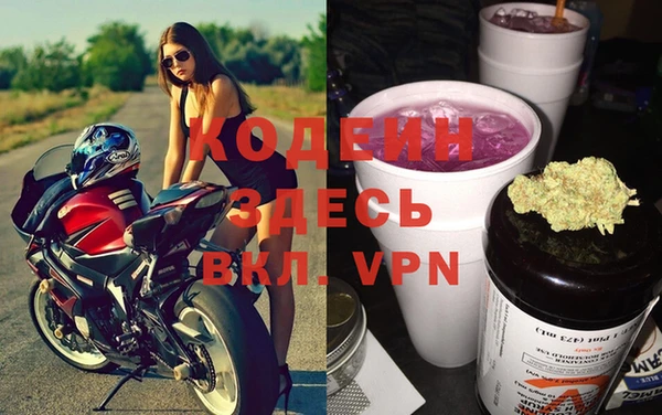 стаф Абаза