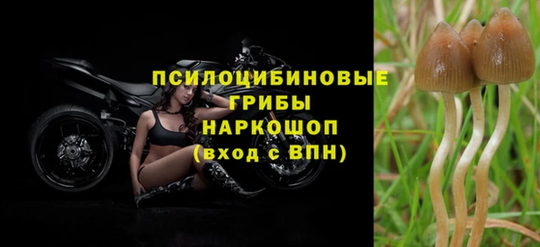 apvp Сосновка