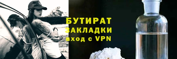 сатива Сосновый Бор