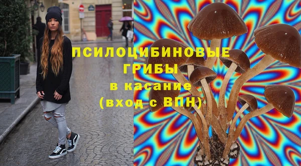сатива Сосновый Бор
