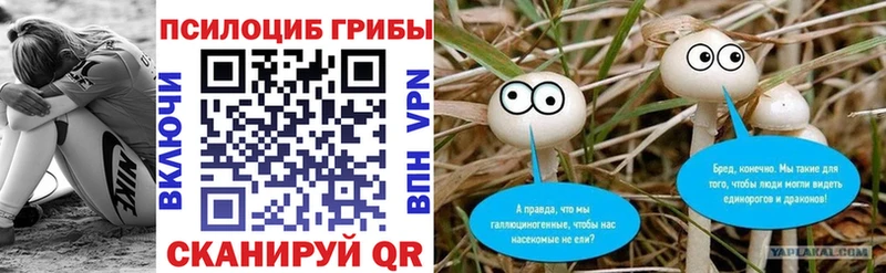 Галлюциногенные грибы прущие грибы  Беломорск 