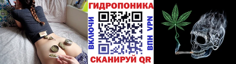 Канабис AK-47 Беломорск