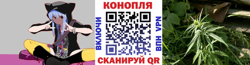 Шишки марихуана сатива  Беломорск 